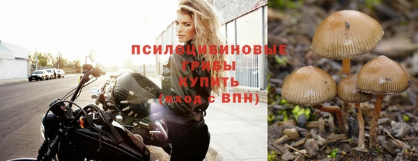 винт Зеленодольск